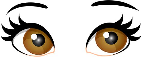 brown eyes photos|brown eyes clip art.